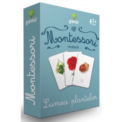 Vocabular. Lumea plantelor