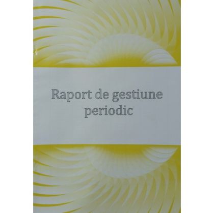 Raport gestiune periodic color                              