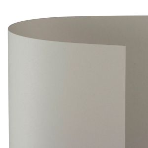 Carton color 220gr/mp 70x100 gri favini 15     