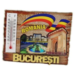 Magnet frigider-bucuresti