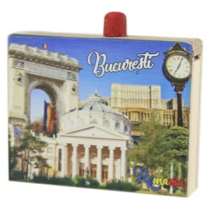 Cutie sarpe col bucuresti 8x8cm