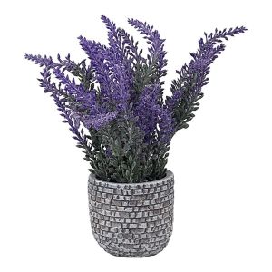 Ghiveci cu lavanda 2003h