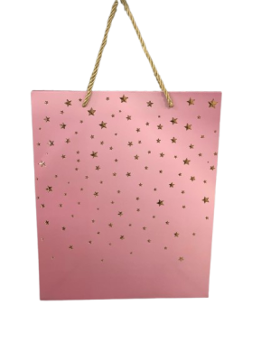Punga cadou 23cm - shine pgcd00051