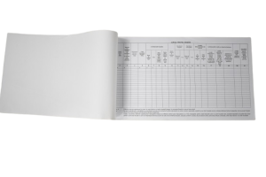 Jurnal vanzari(mod nou)