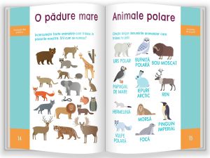 Stiinte si explorarea mediului/ Gata de scoala!