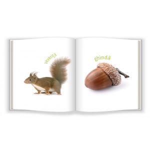 Natura/bebe cunoaste