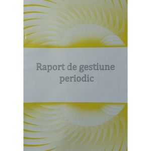 Raport gestiune periodic color                              