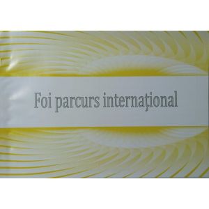 Foi parcurs a4 internat.Color                               