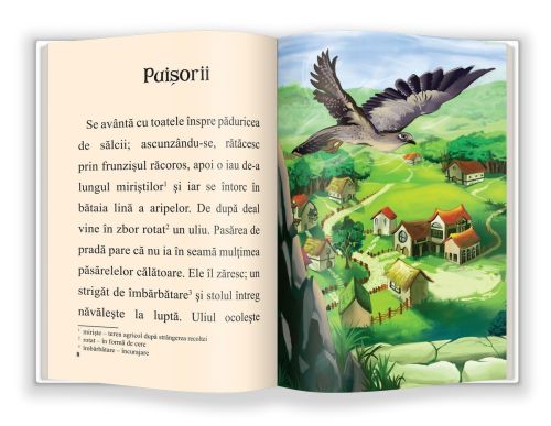 Fricosul. Puisorii - Emil Garleanu