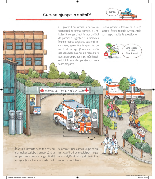 Ce se intampla la spital? - Andrea Erne