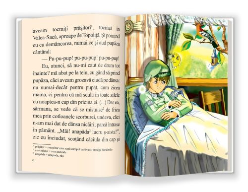 Pupaza din tei - Ion Creanga