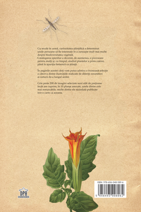 Botanica ilustrata - Maria Carmen Soria