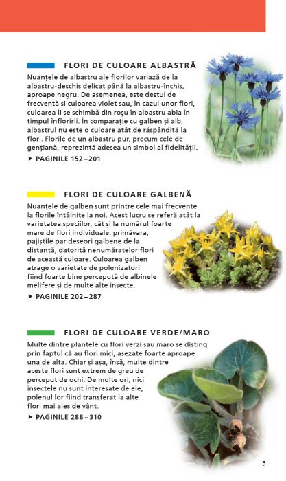 Ce floare este aceasta? - Margot Spohn, Roland Spohn