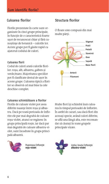 Ce floare este aceasta? - Margot Spohn, Roland Spohn