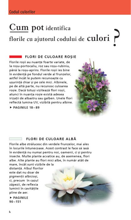 Ce floare este aceasta? - Margot Spohn, Roland Spohn