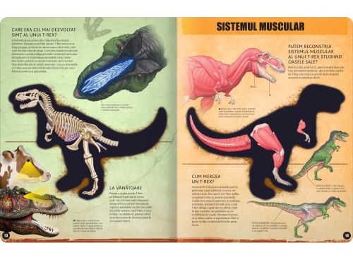 T-REX – model 3D