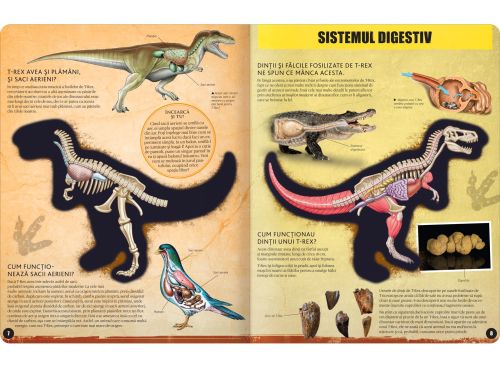 T-REX – model 3D