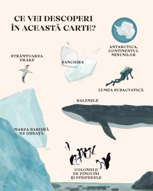 Antartica. Continentul minunilor - Mario Cuesta Hernando, Raquel Martin