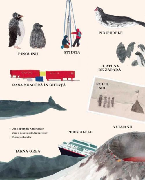 Antartica. Continentul minunilor - Mario Cuesta Hernando, Raquel Martin