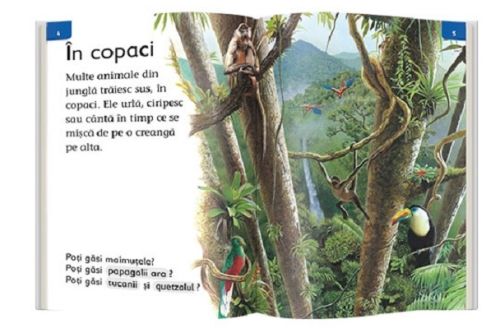 Viata in jungla - Denise Ryan