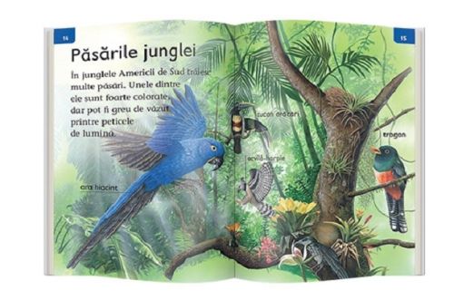 Viata in jungla - Denise Ryan