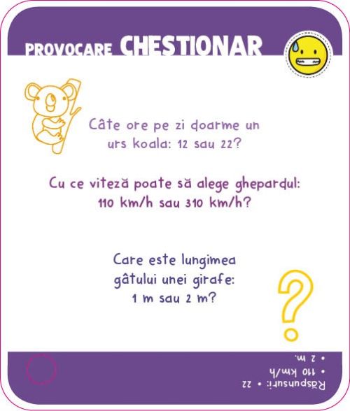 Provocari istete: Poti sau nu poti? - Aurore Meyer