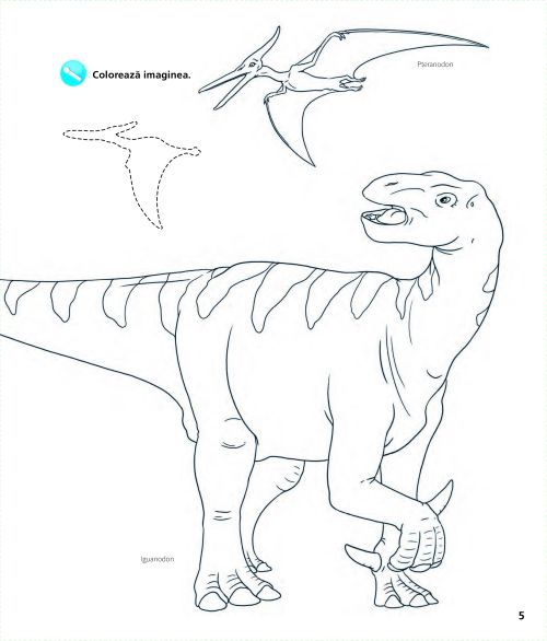 Carte de activitati cu .... Dinozauri - Stefan Richter